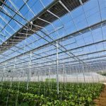 Serra Fotovoltaica Quanto si Guadagna e I prezzi
